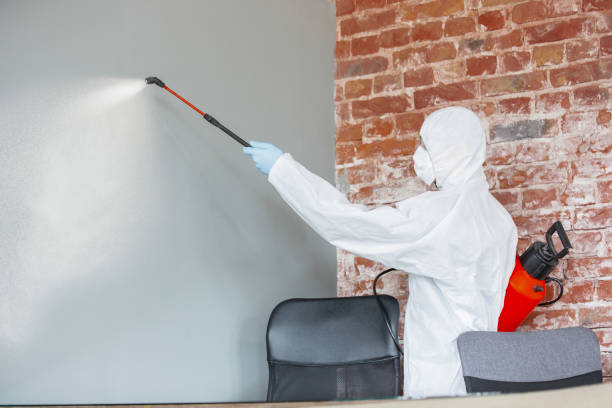Best Mold Removal for HVAC Installations  in Folsom, NJ