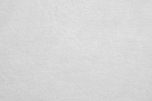Best Biohazard Mold Removal  in Folsom, NJ