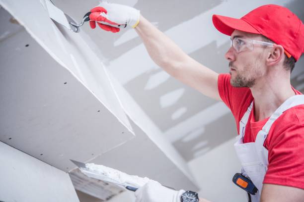 Best Mold Documentation for Insurance Claims  in Folsom, NJ